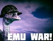 Emu War!