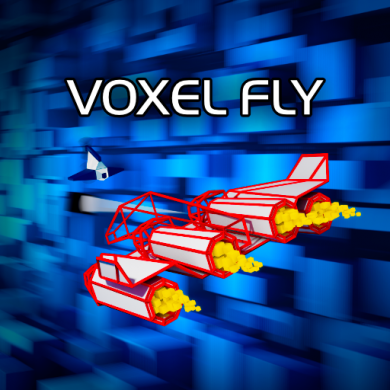 Voxel Fly