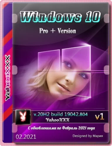 Windows 10 Pro+ Version 20H2 Ru x64 02.2021